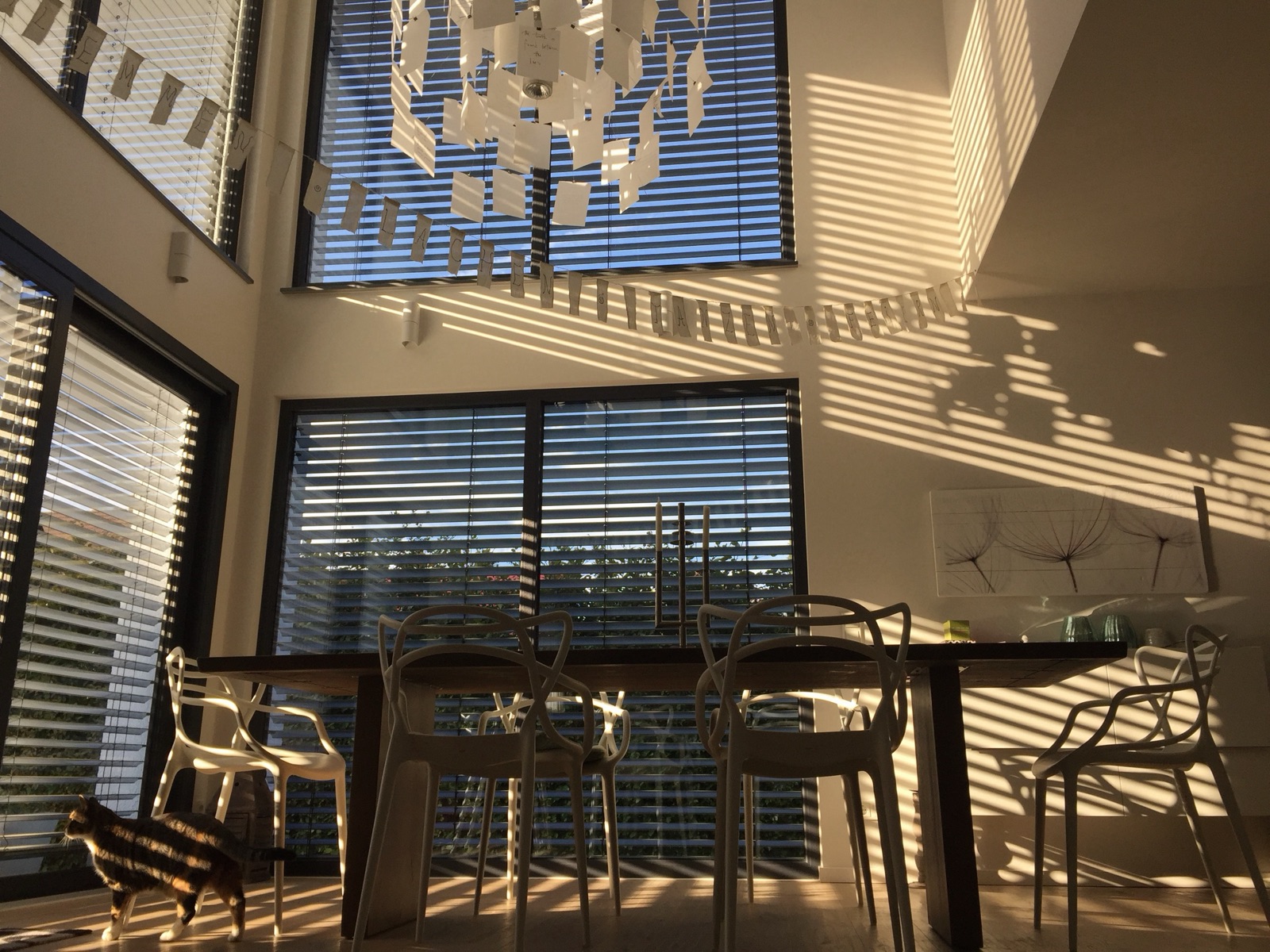 Architektenhaus Limburg – Ansicht 2